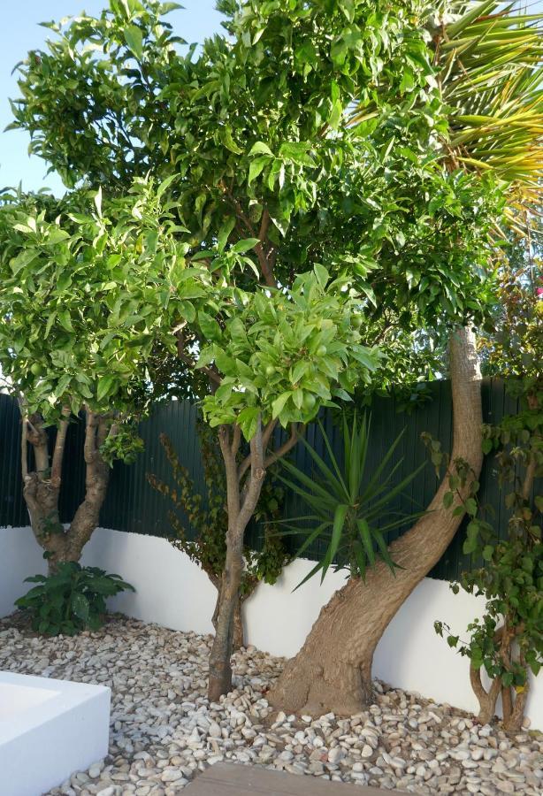 אלבופיירה Villa A Sul מראה חיצוני תמונה